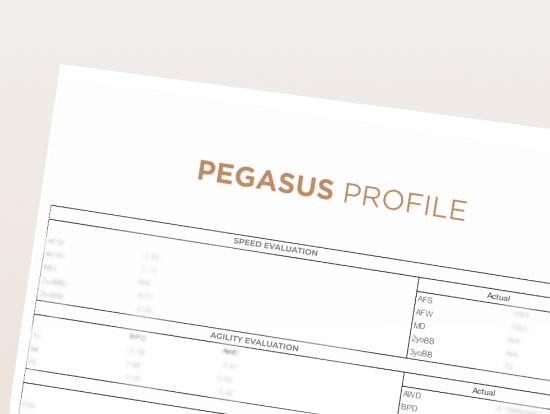 thoroughbred DNA analysis PEGASUS PROFILE REPORT